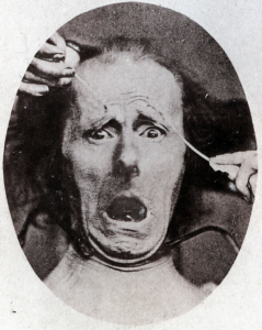 C:\Users\yossef.levin\Desktop\darwin picture 2.png