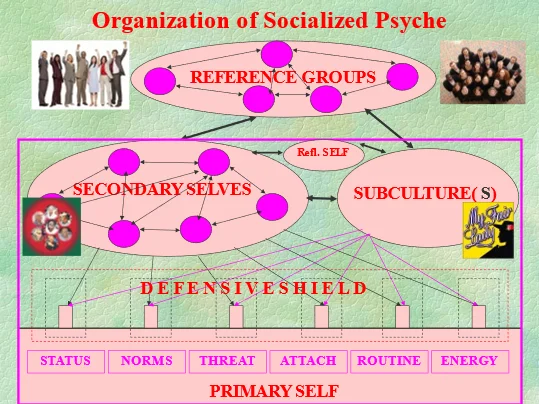 Organization of Socialized Psyche