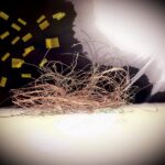 ראשיתו של מסע