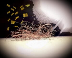 ראשיתו של מסע