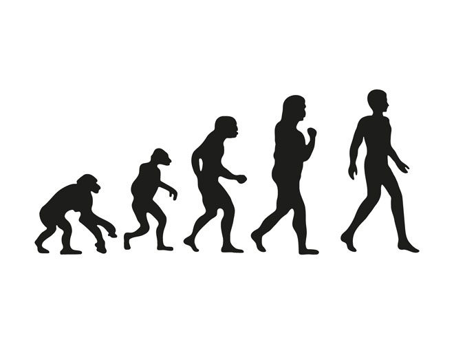 evolution